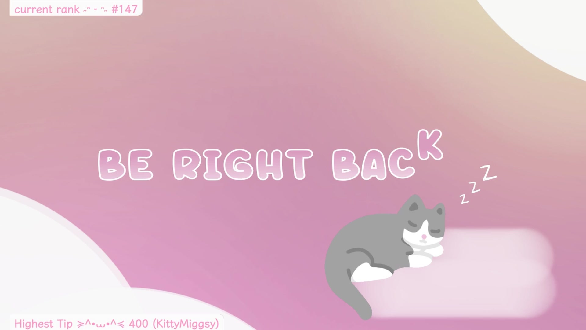 Kitty video thumbnail