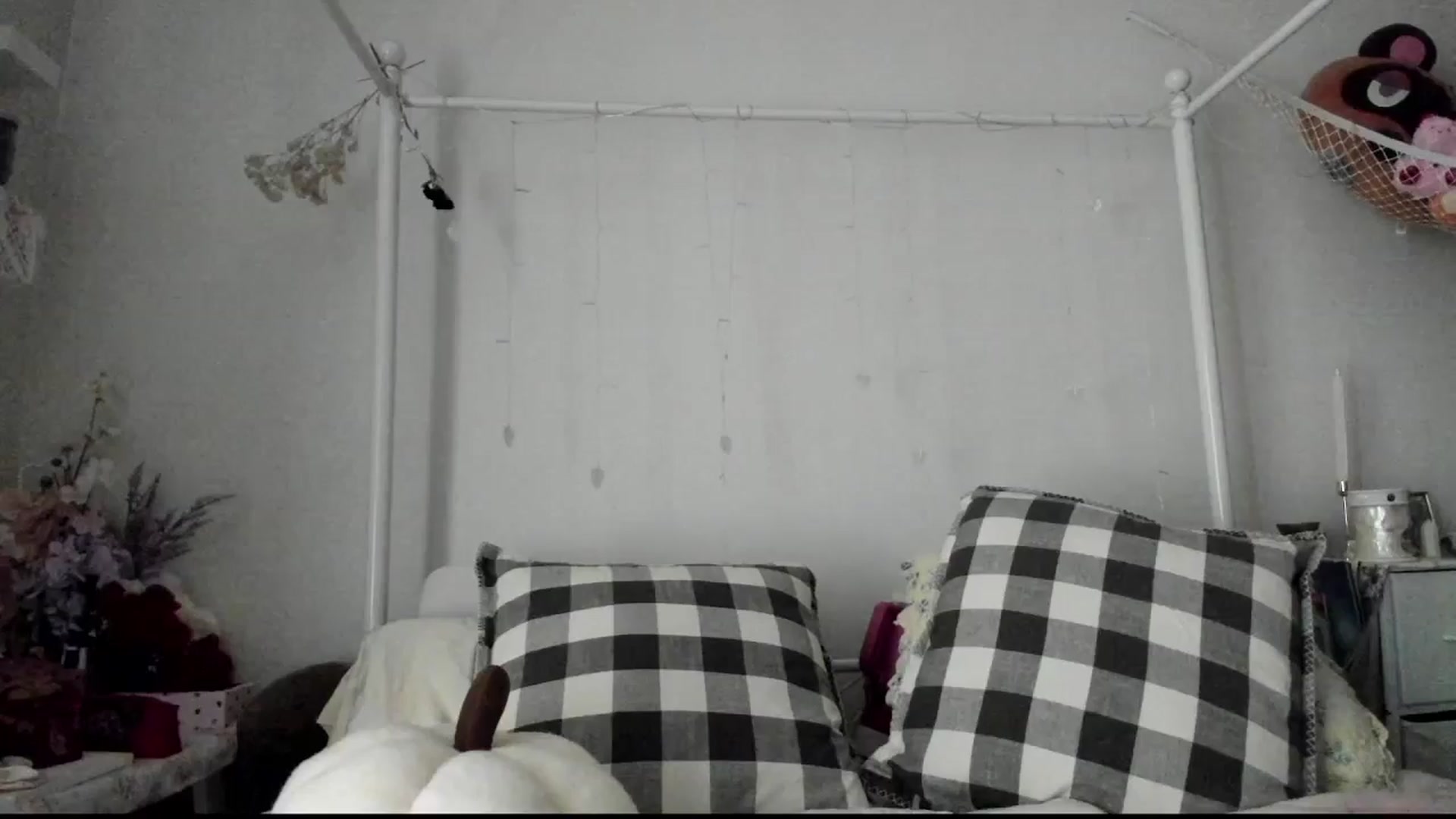 lolypopbubble video thumbnail