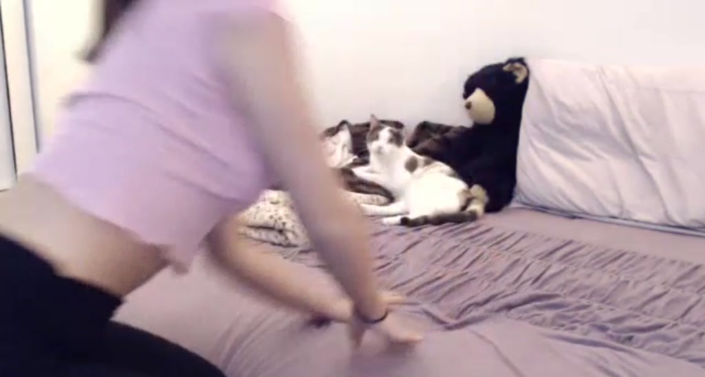 smttenkitten video thumbnail