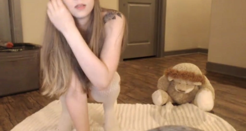 Kitten video thumbnail