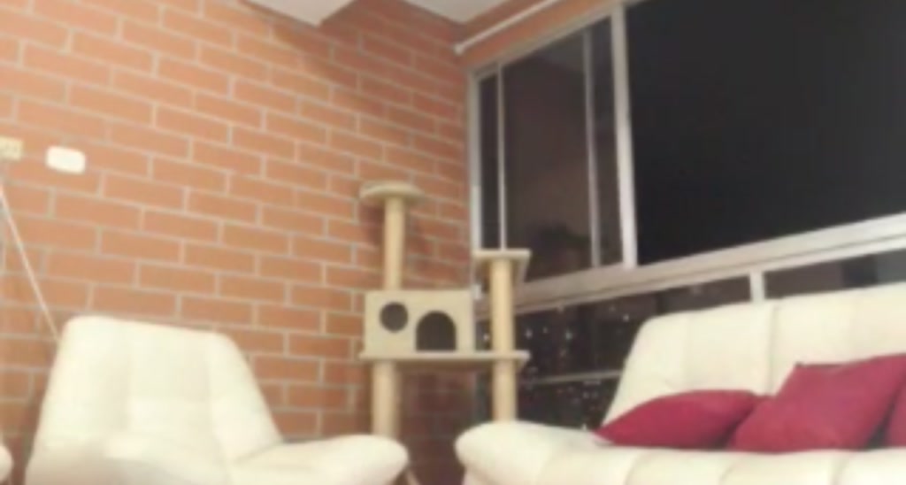 Sarita_swtt video thumbnail