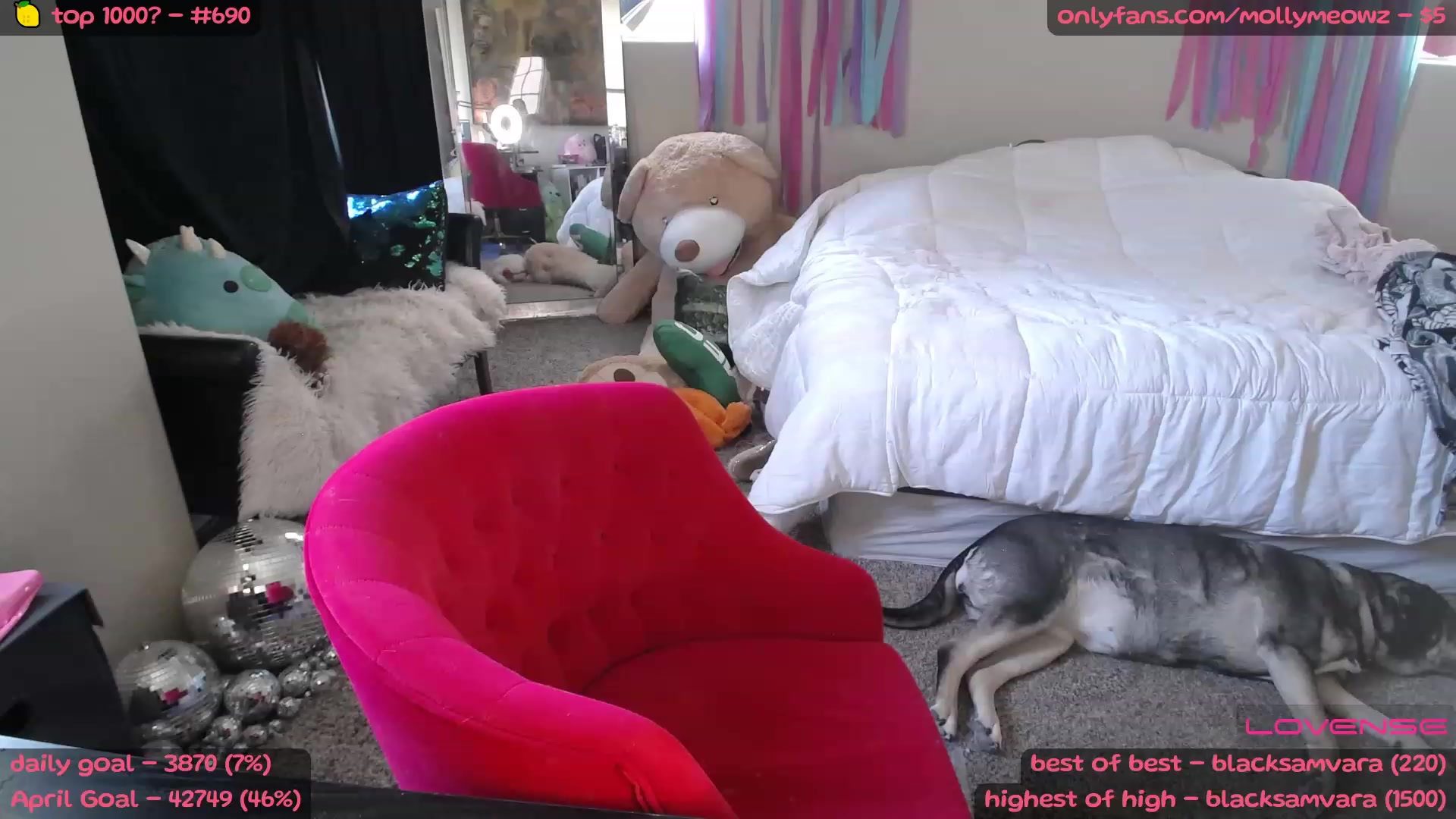 MollyMeowz video thumbnail