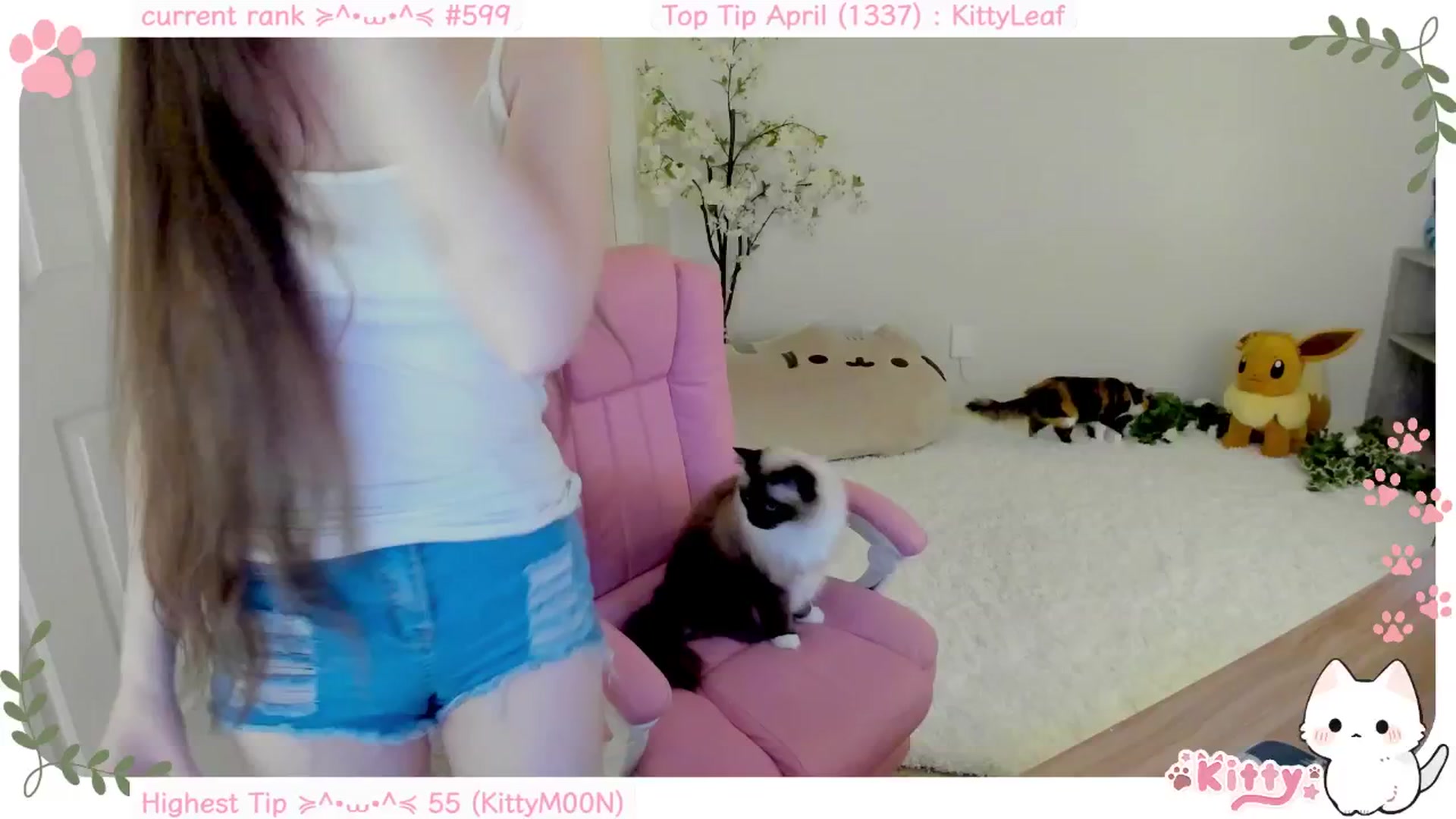 Kitty video thumbnail