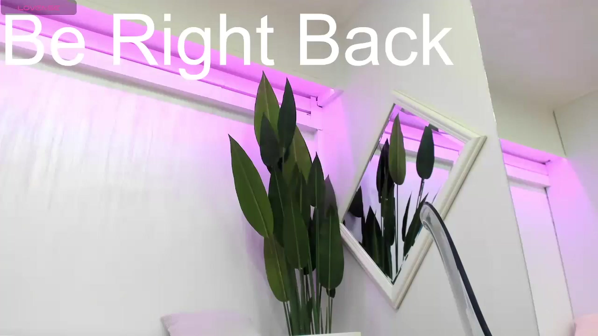 BlondieQuinn video thumbnail