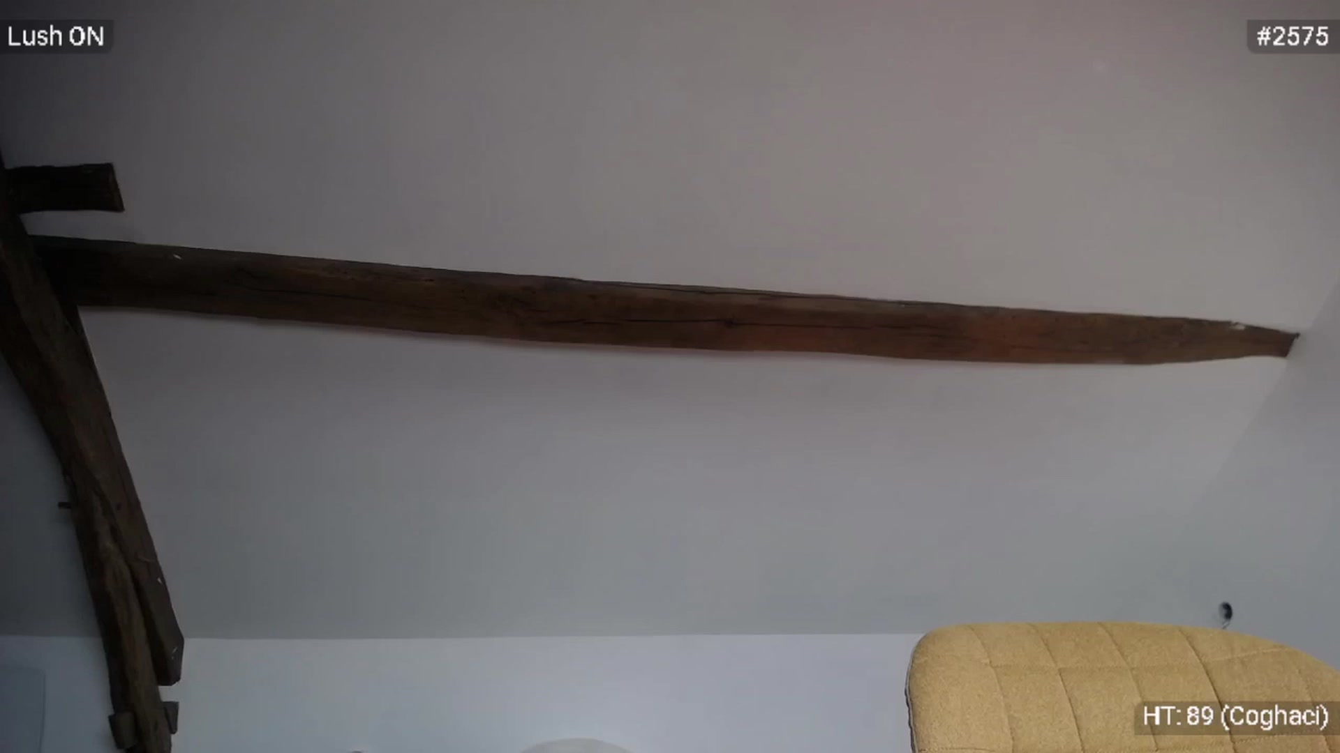 Bootysaur video thumbnail