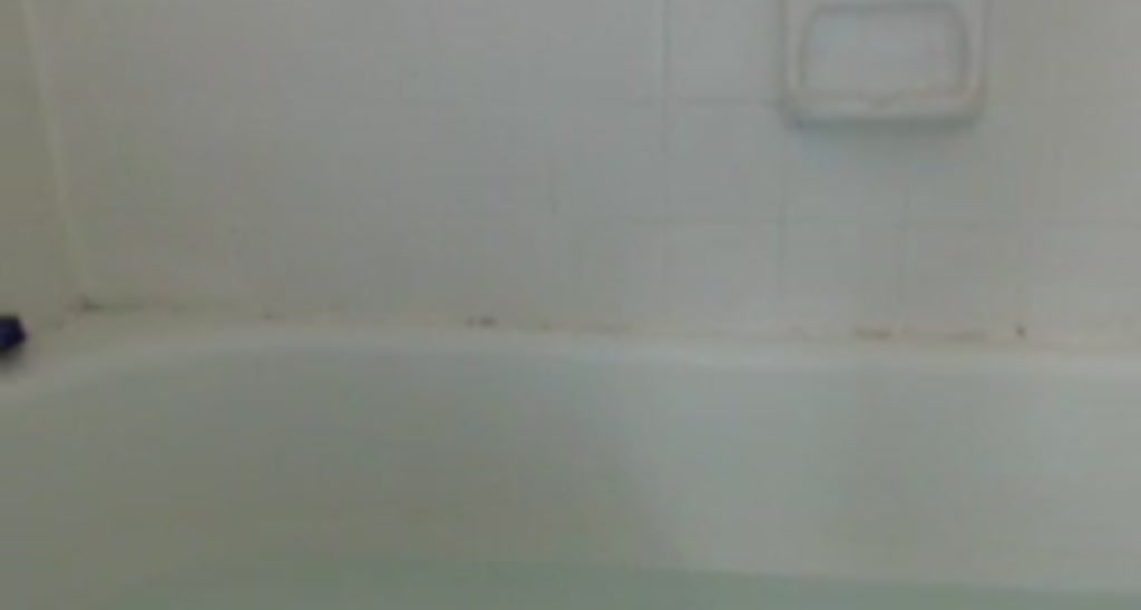LittleOddFox video thumbnail