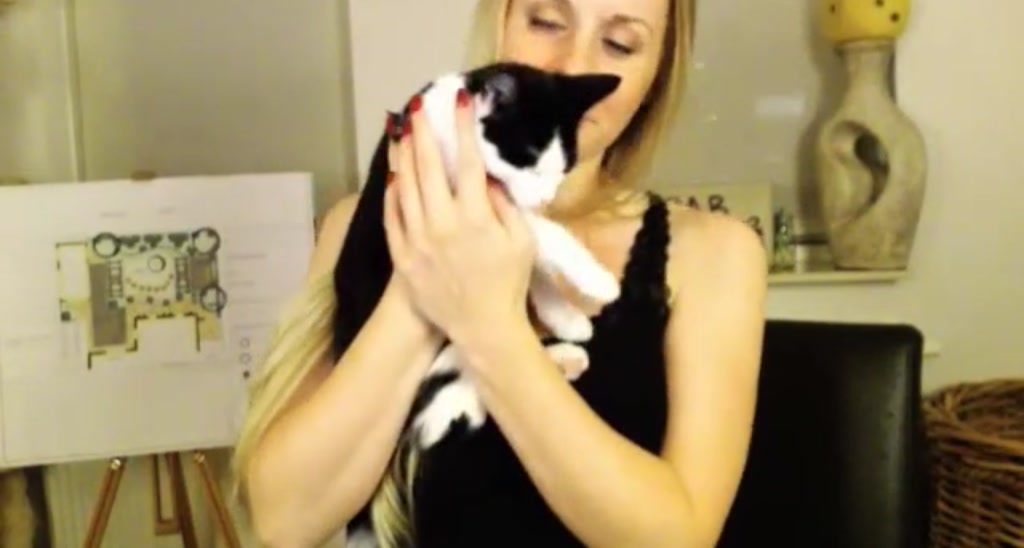 WildestKitten video thumbnail