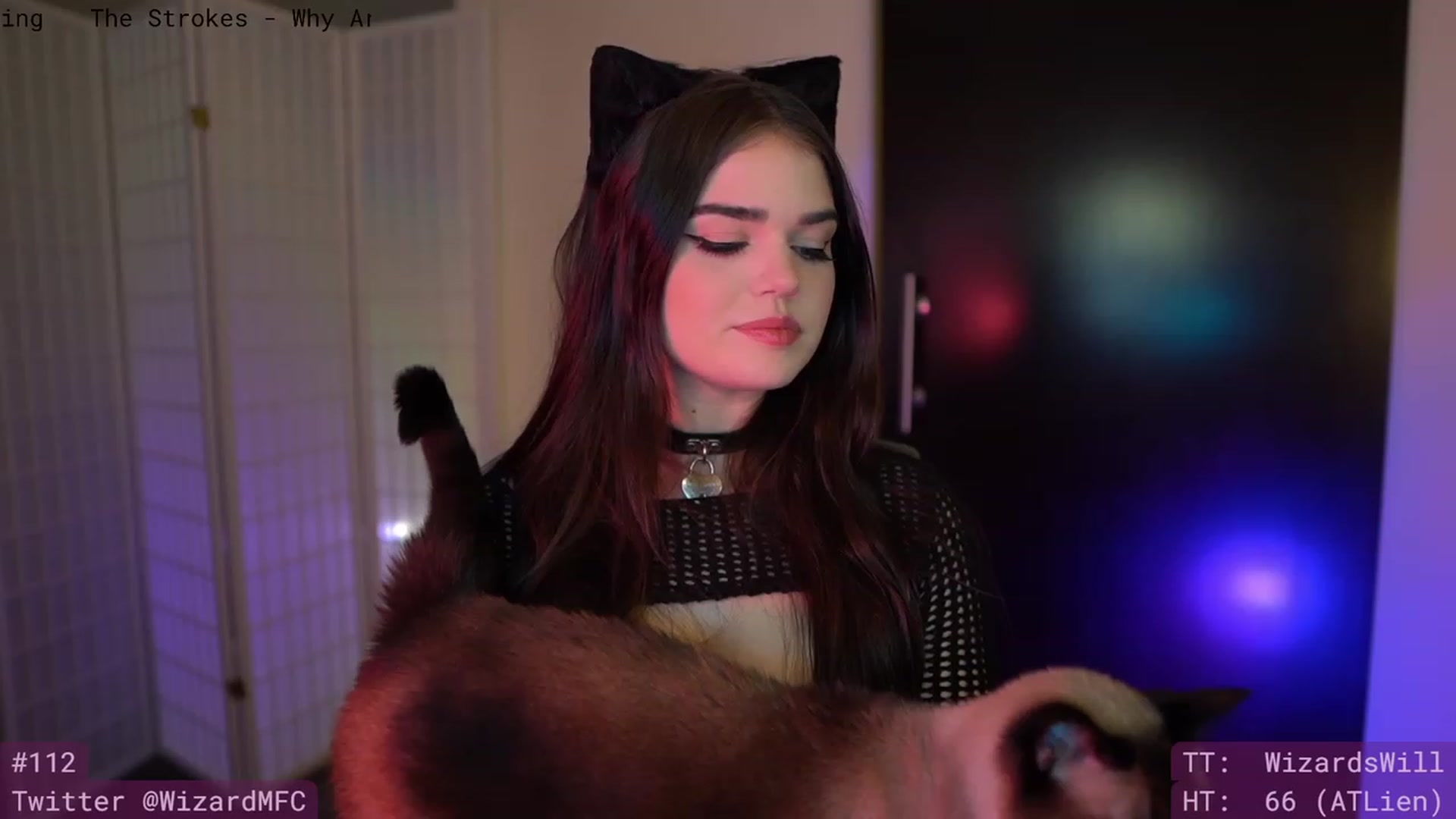 HauntedWizard video thumbnail