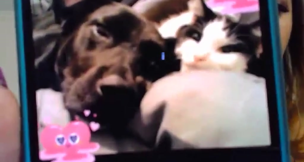 VanessaW video thumbnail