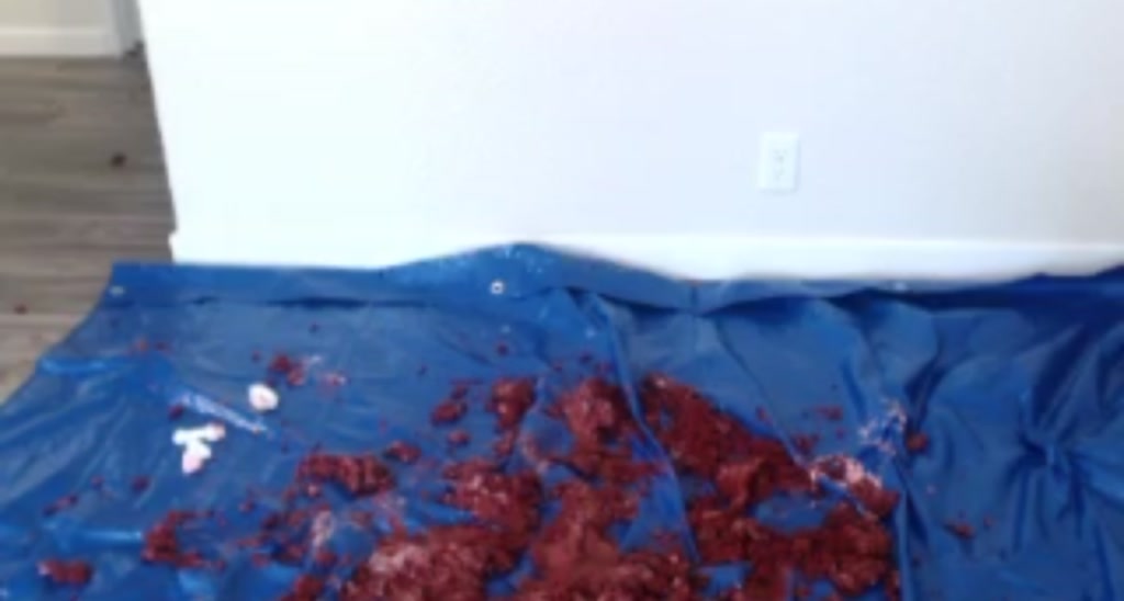 SpiceNova video thumbnail