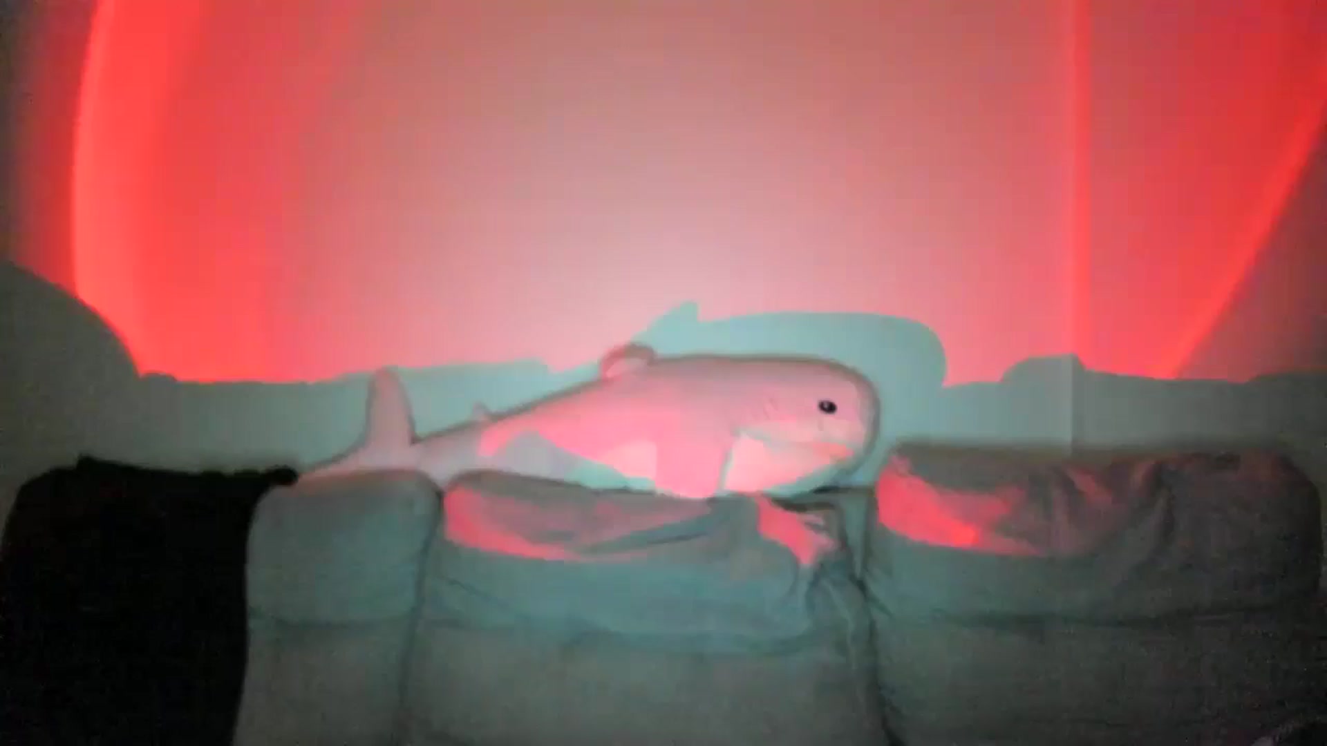 IsabellRrose video thumbnail