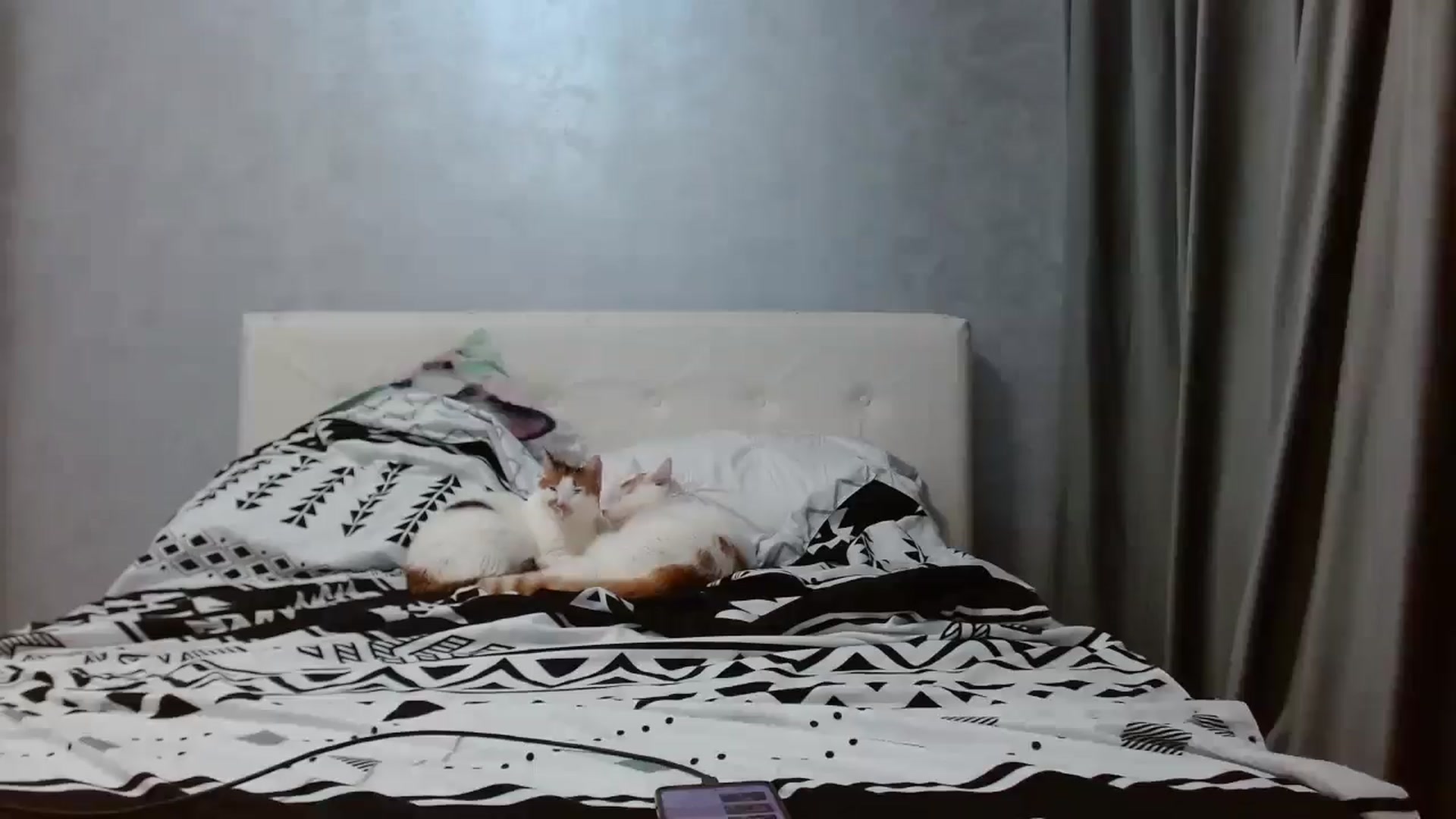 Aahh_Emilia video thumbnail