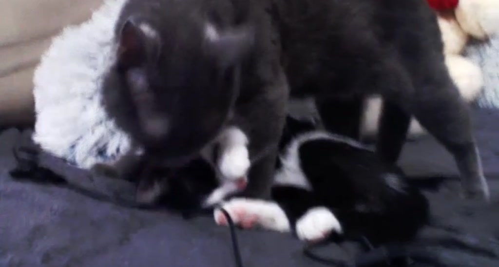 Moni_K video thumbnail