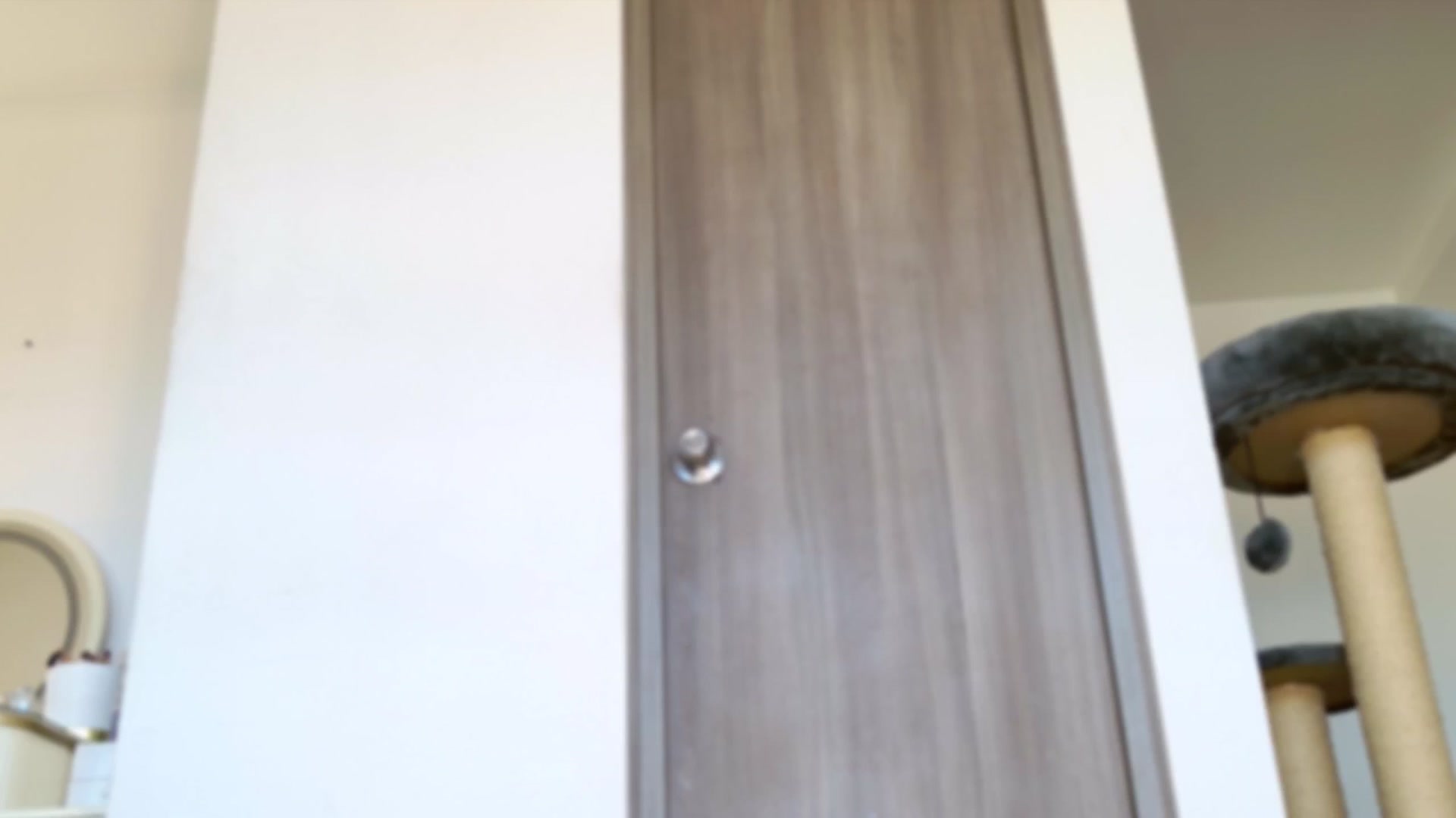Red_Aria video thumbnail
