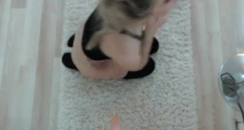 Sensationowl_ video thumbnail