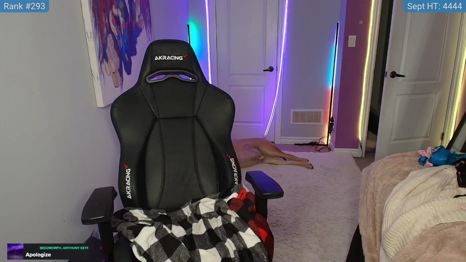 HaileeCameron video thumbnail