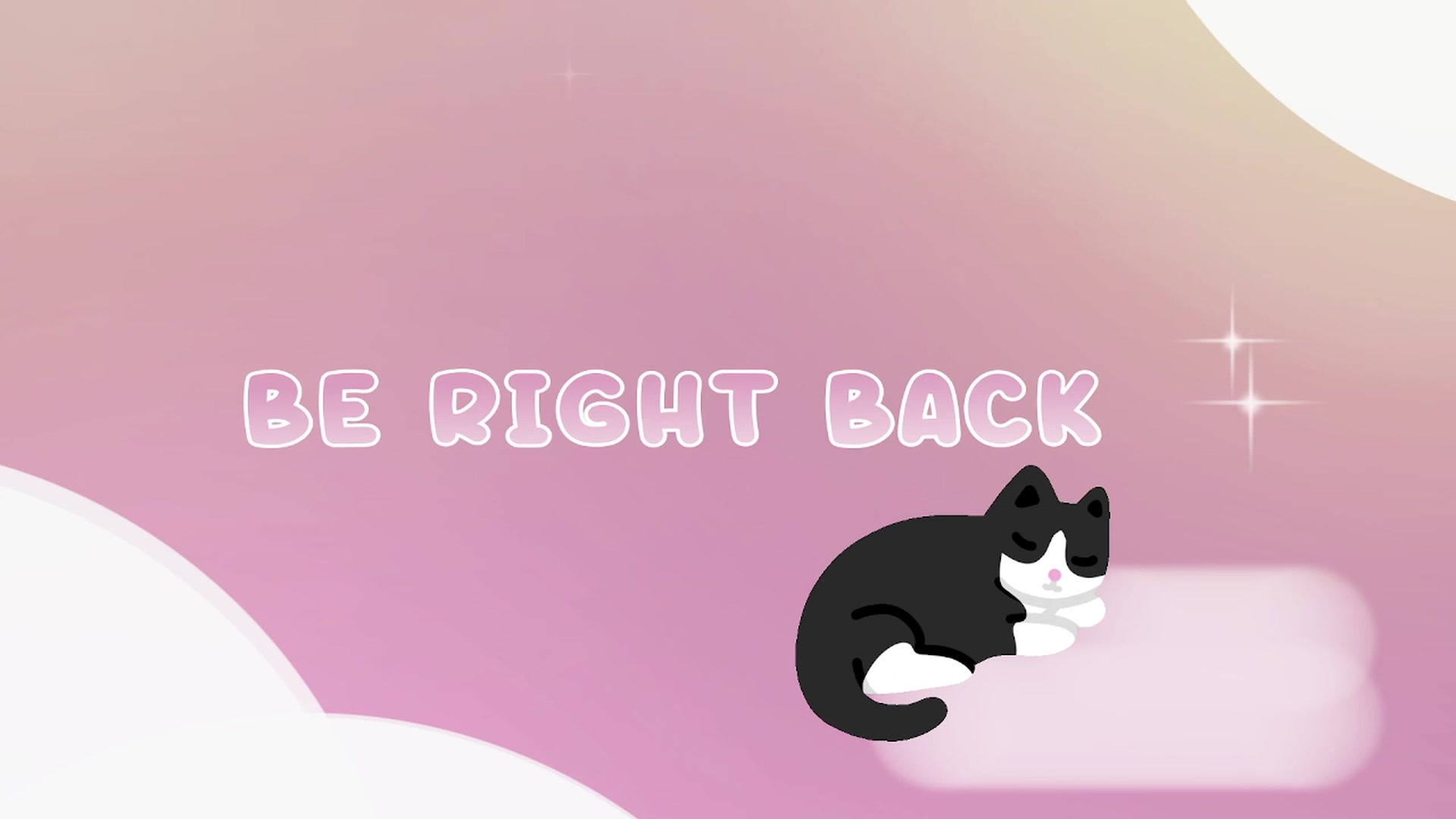 Kitty video thumbnail