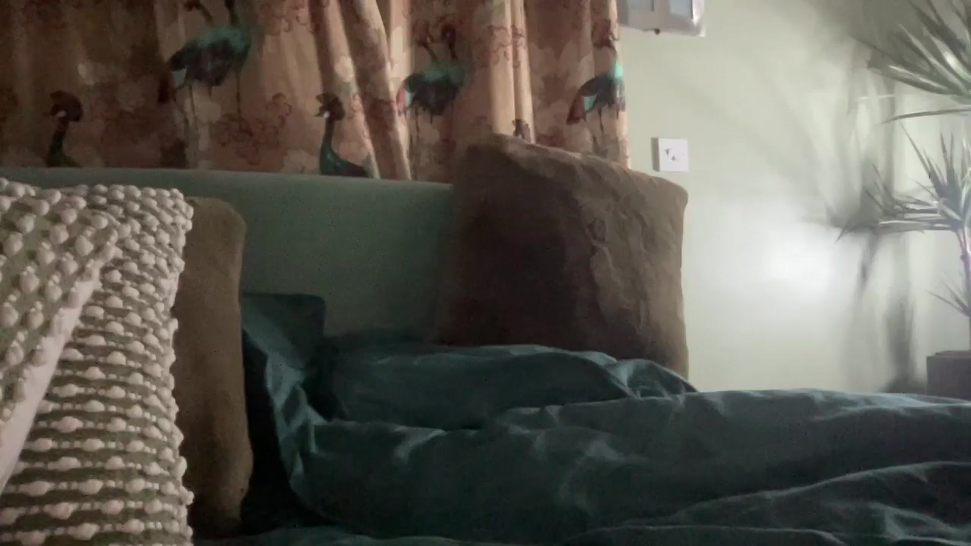 Little_L video thumbnail