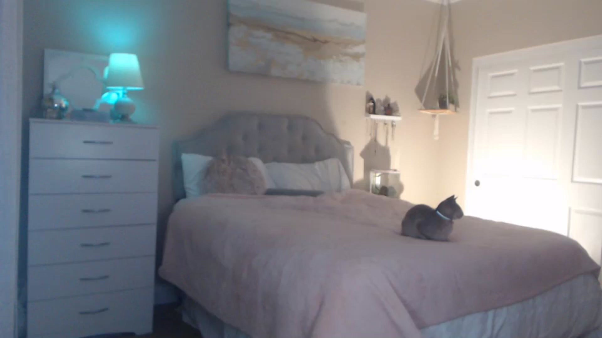 Queen_bambii video thumbnail