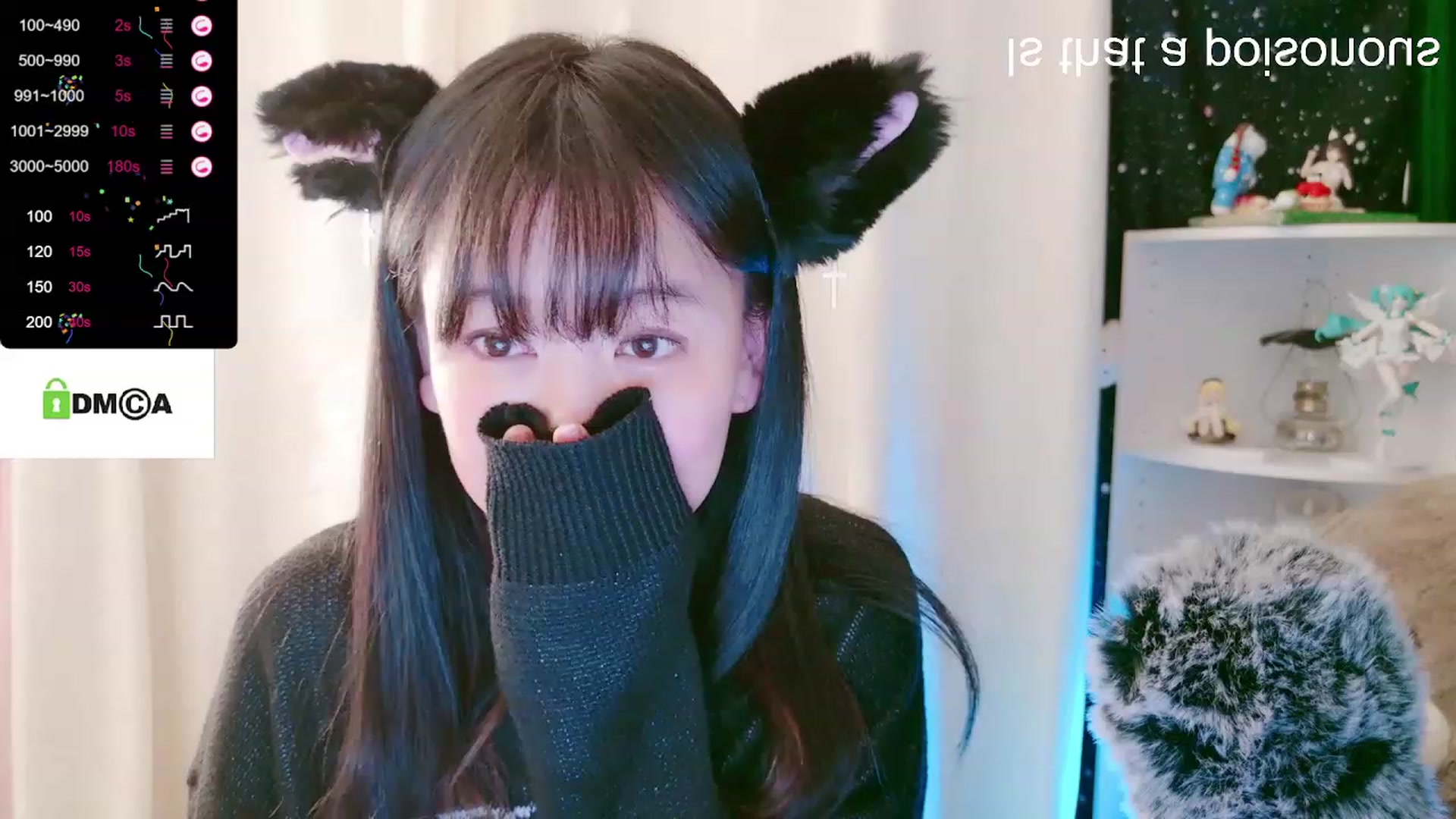 meows video thumbnail