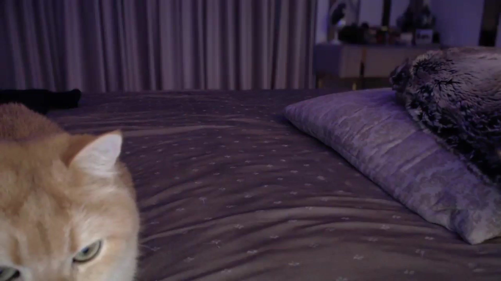 UGLYGIRL_ video thumbnail