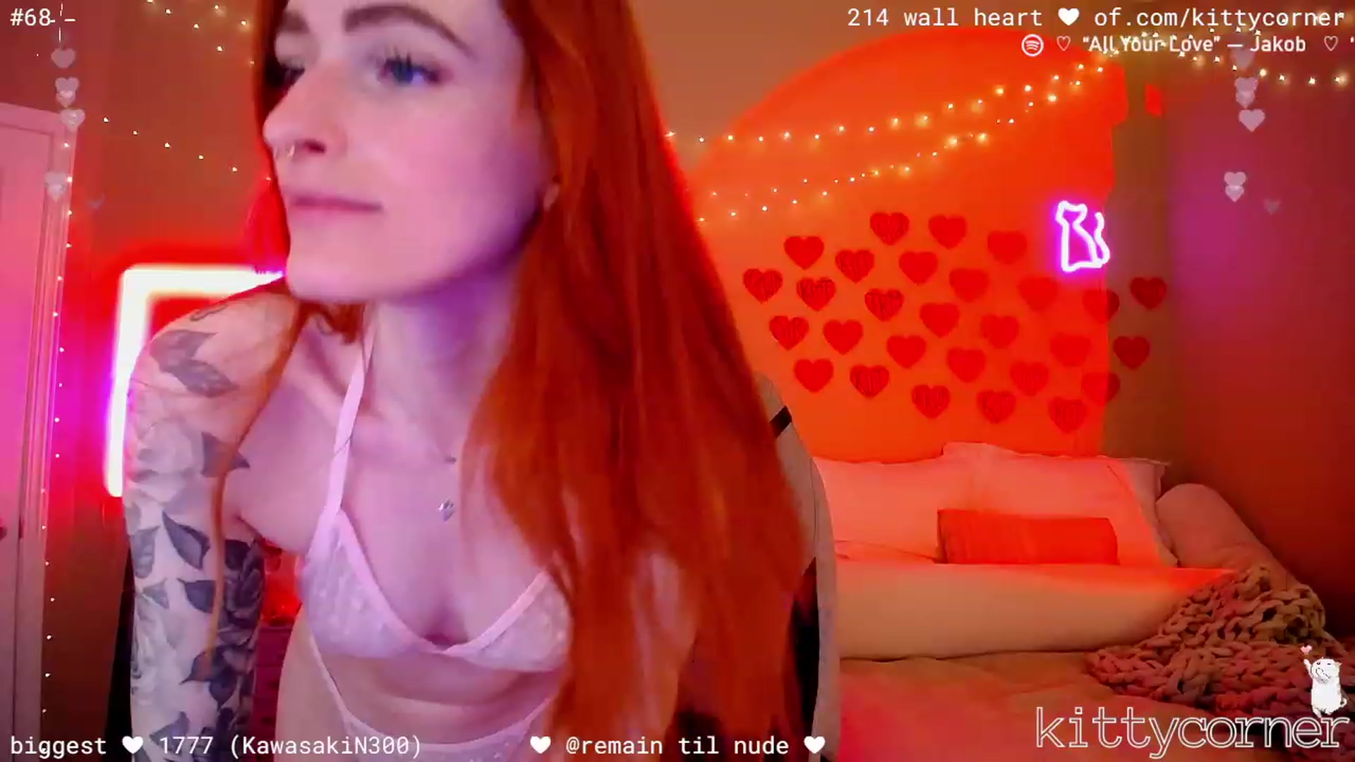 KittyCorner video thumbnail