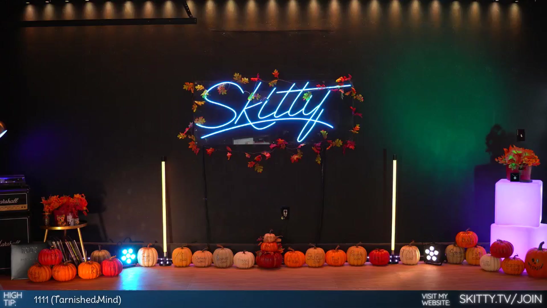Skitty video thumbnail