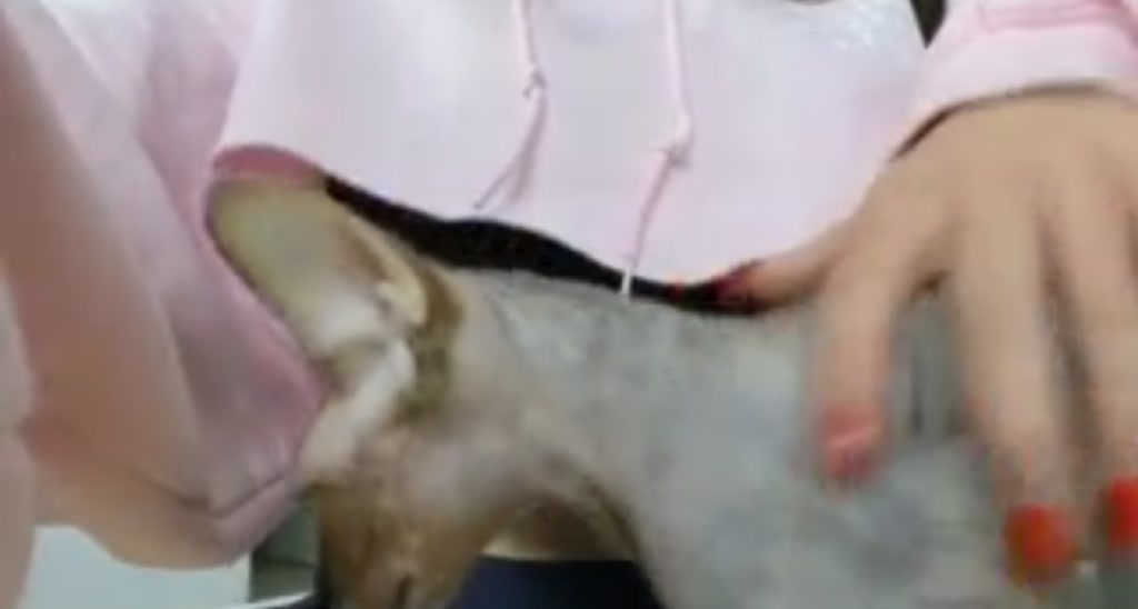 Stellarloving video thumbnail