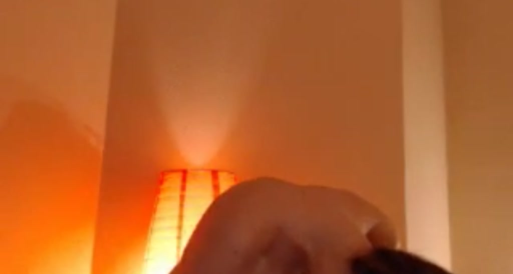 A_Young_fox video thumbnail