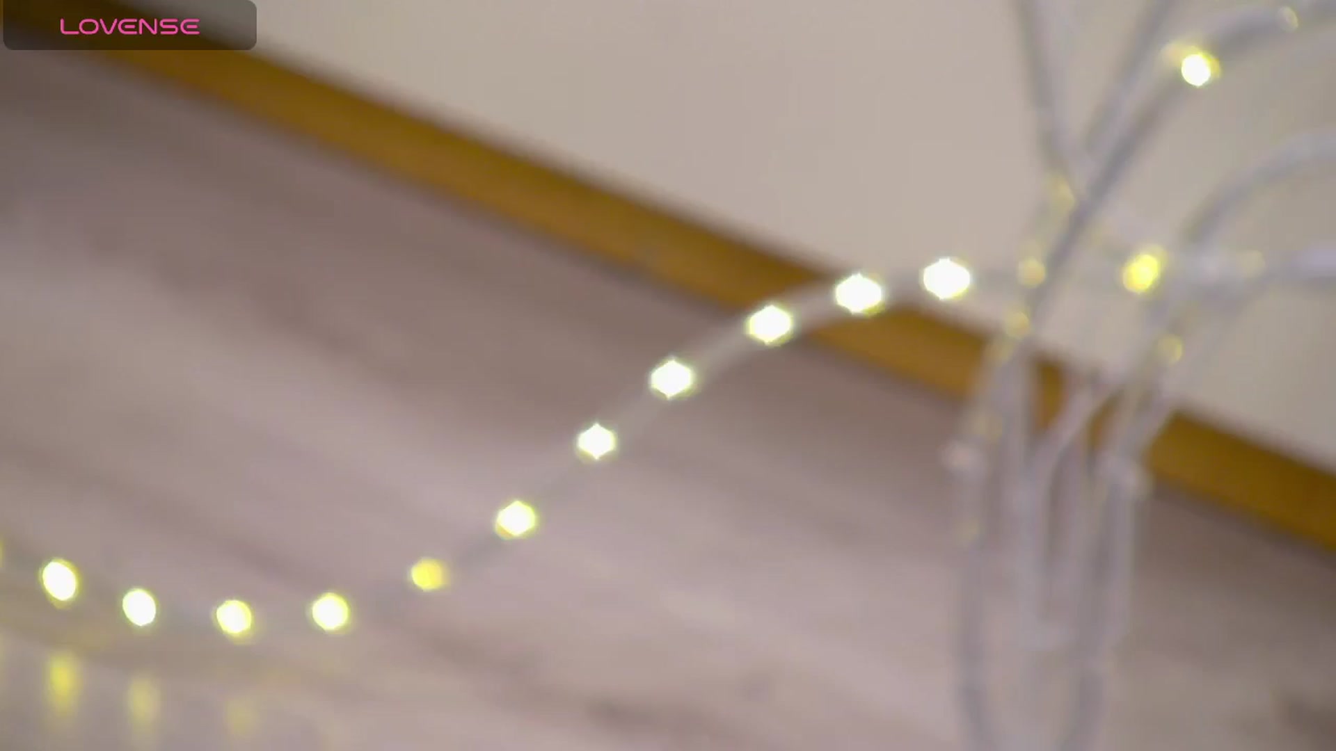 Squirrel_MFC video thumbnail