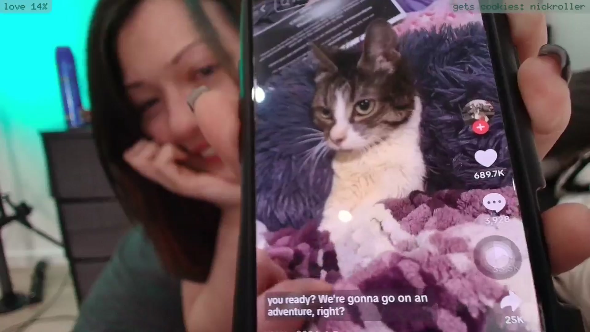 thehorse video thumbnail