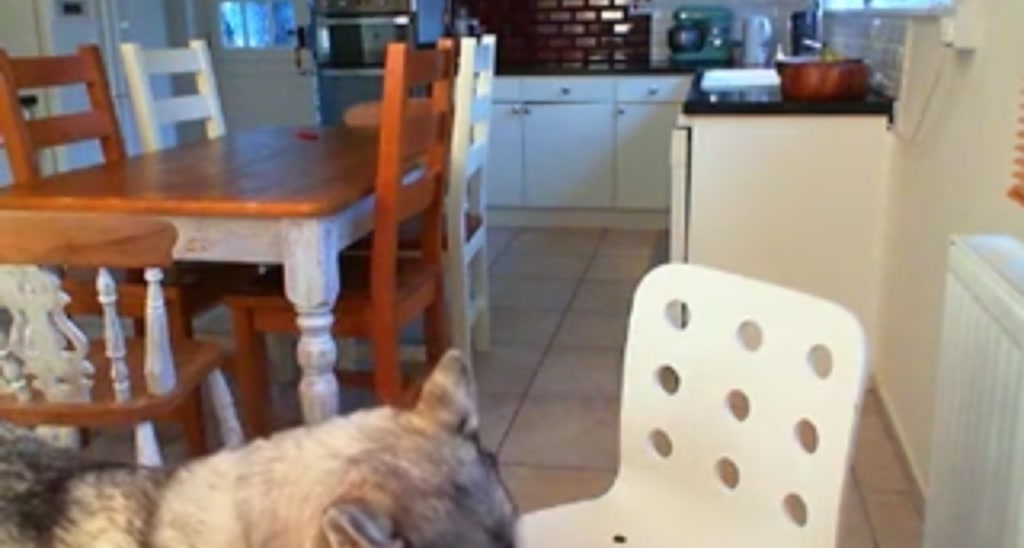 LucyLondon video thumbnail