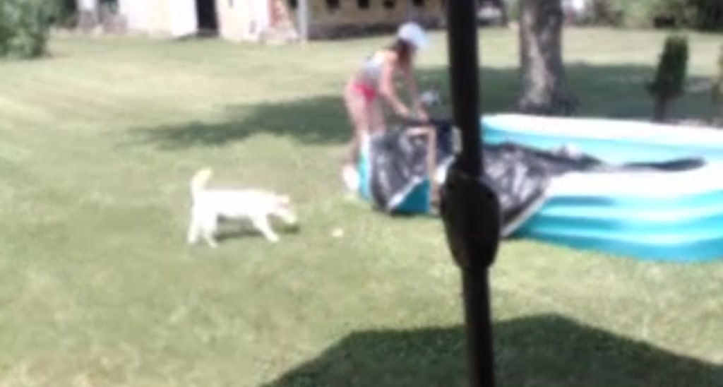 FarmGirl__ video thumbnail