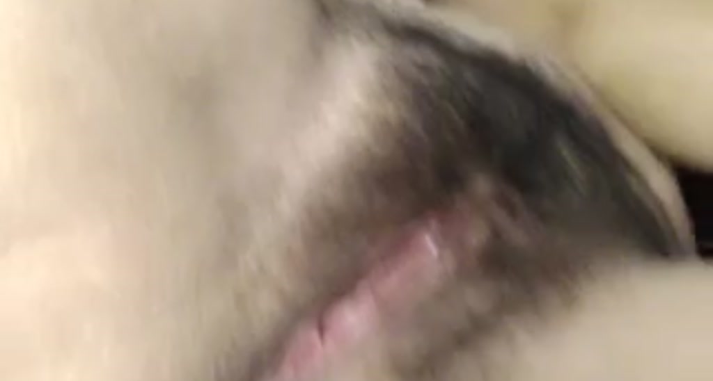 anarossanna video thumbnail
