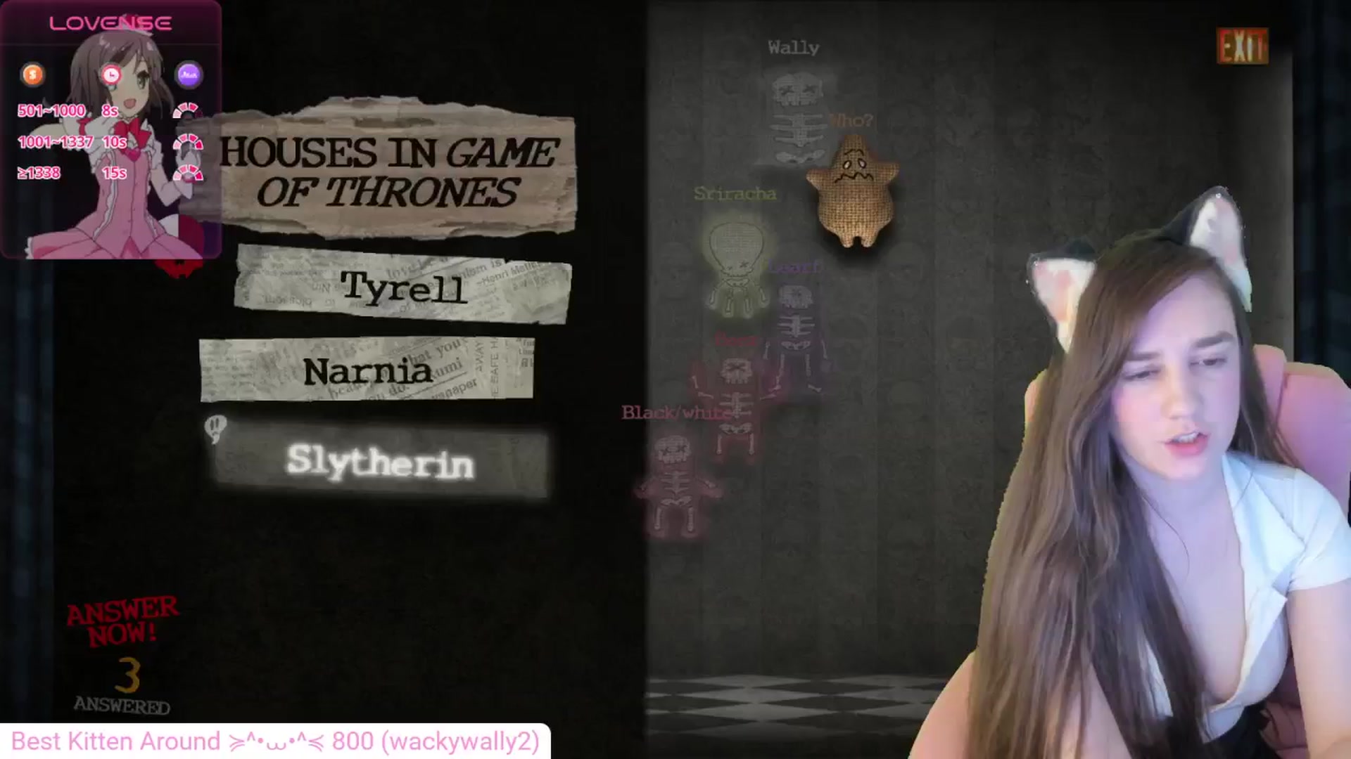 Kitty video thumbnail