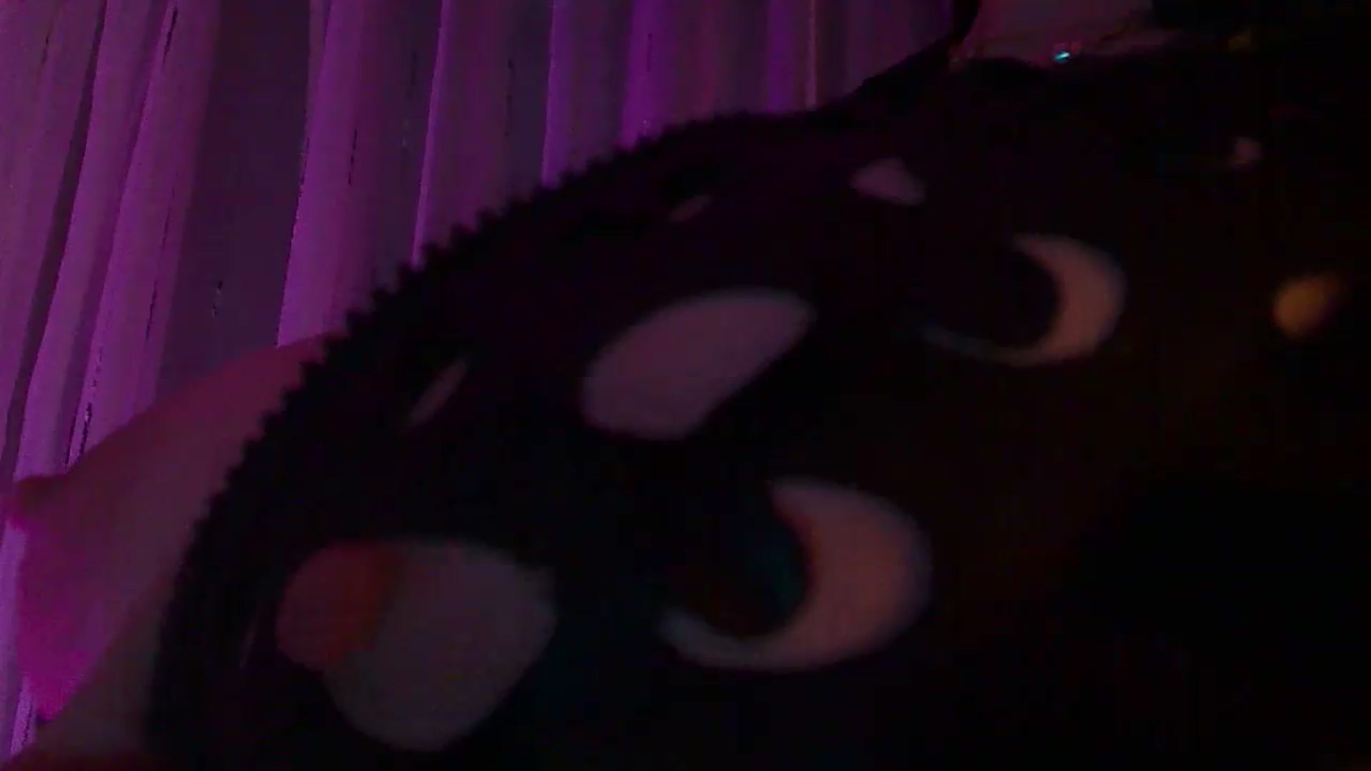 No_bo_dy video thumbnail