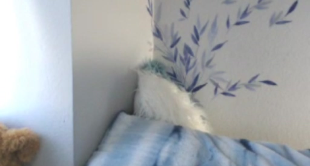 Miss_Tala video thumbnail