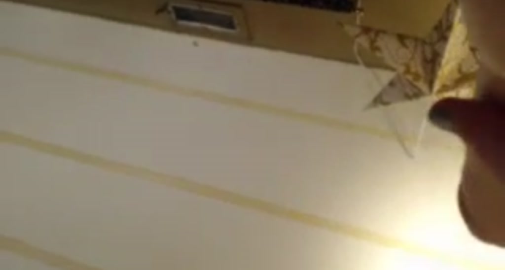 DaisyDestin video thumbnail
