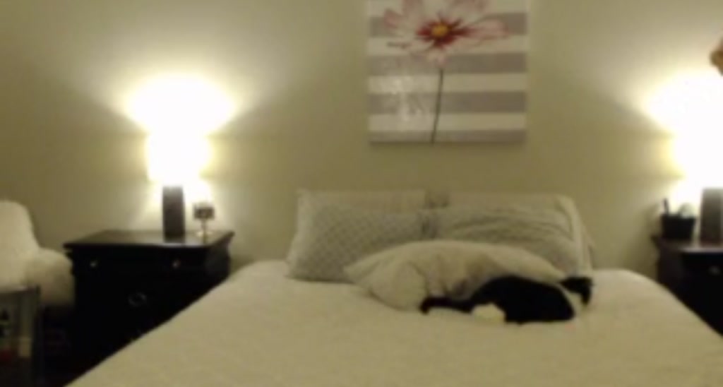 Payslee video thumbnail