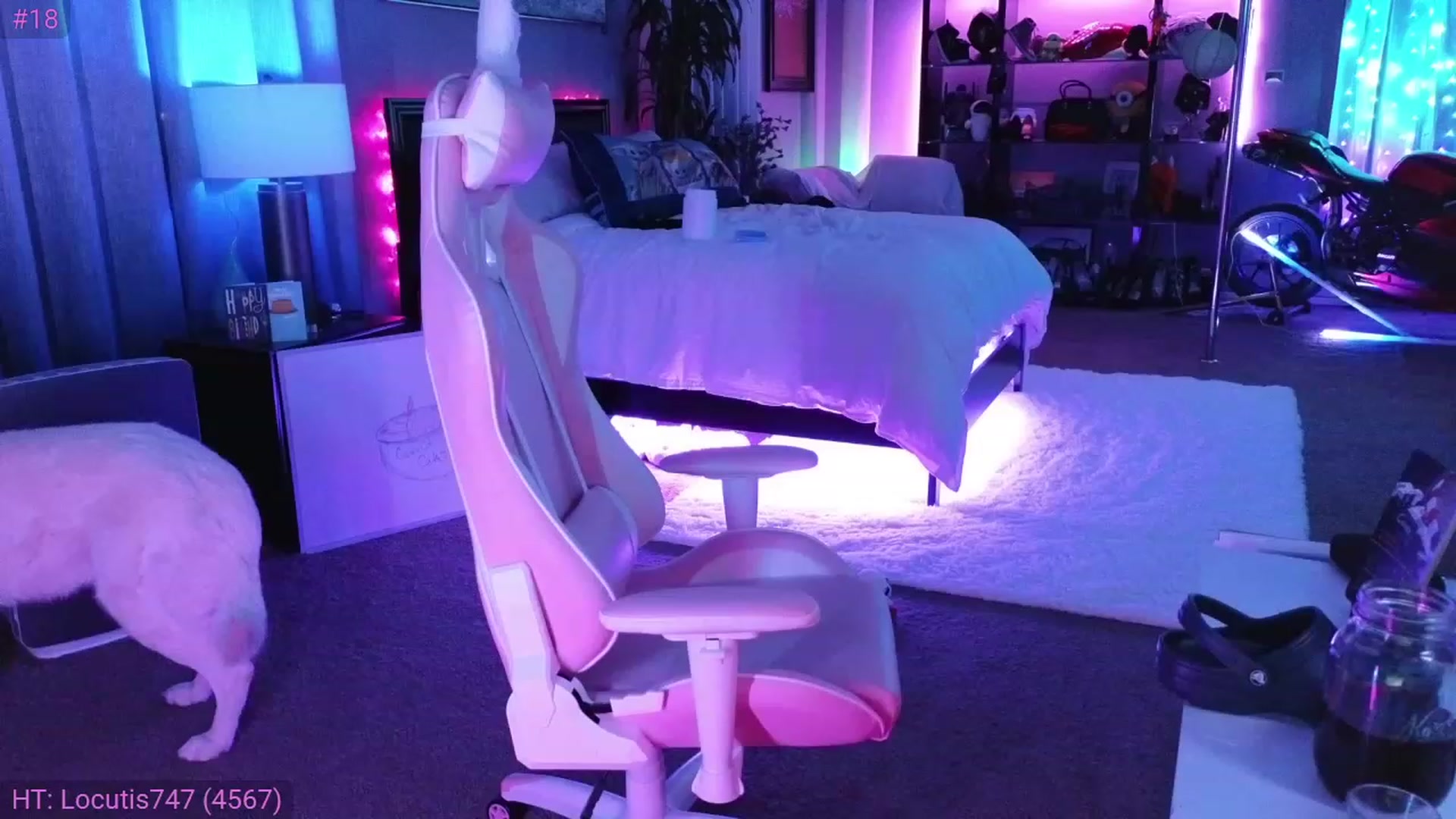 LexxiStar video thumbnail