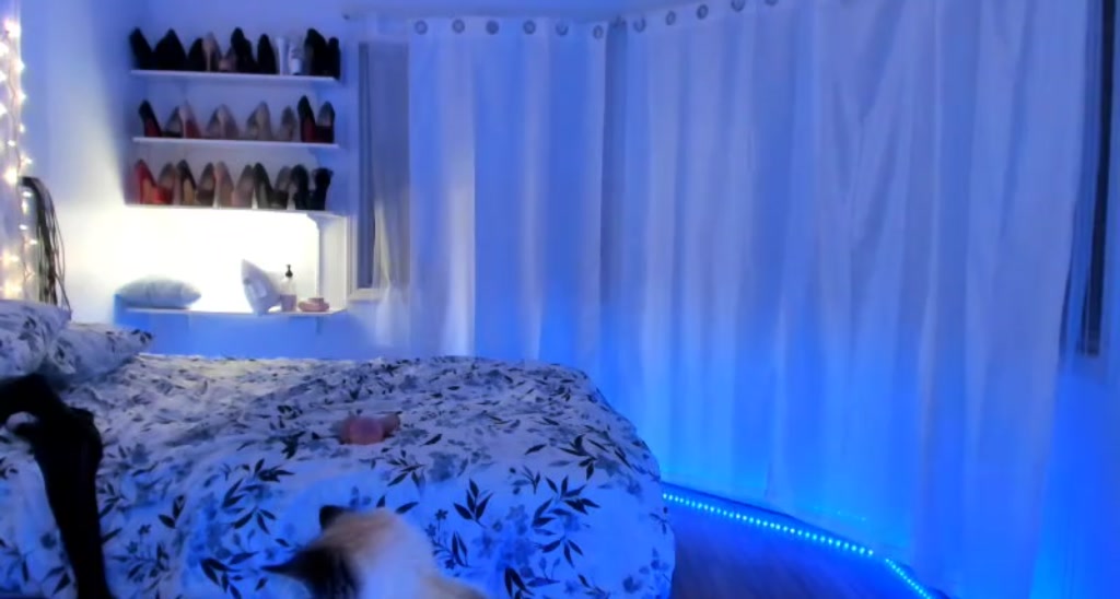 Mollyboots video thumbnail