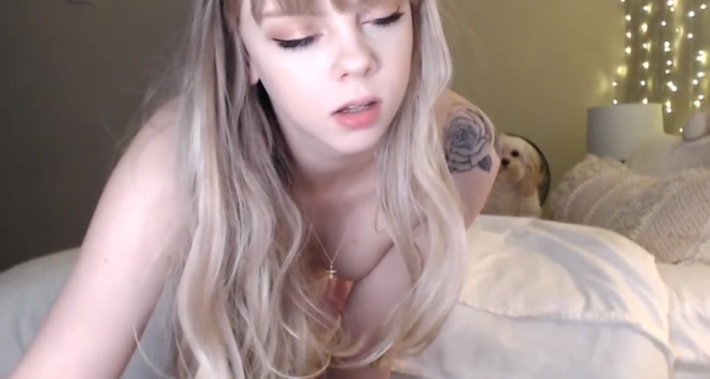 Kitten video thumbnail