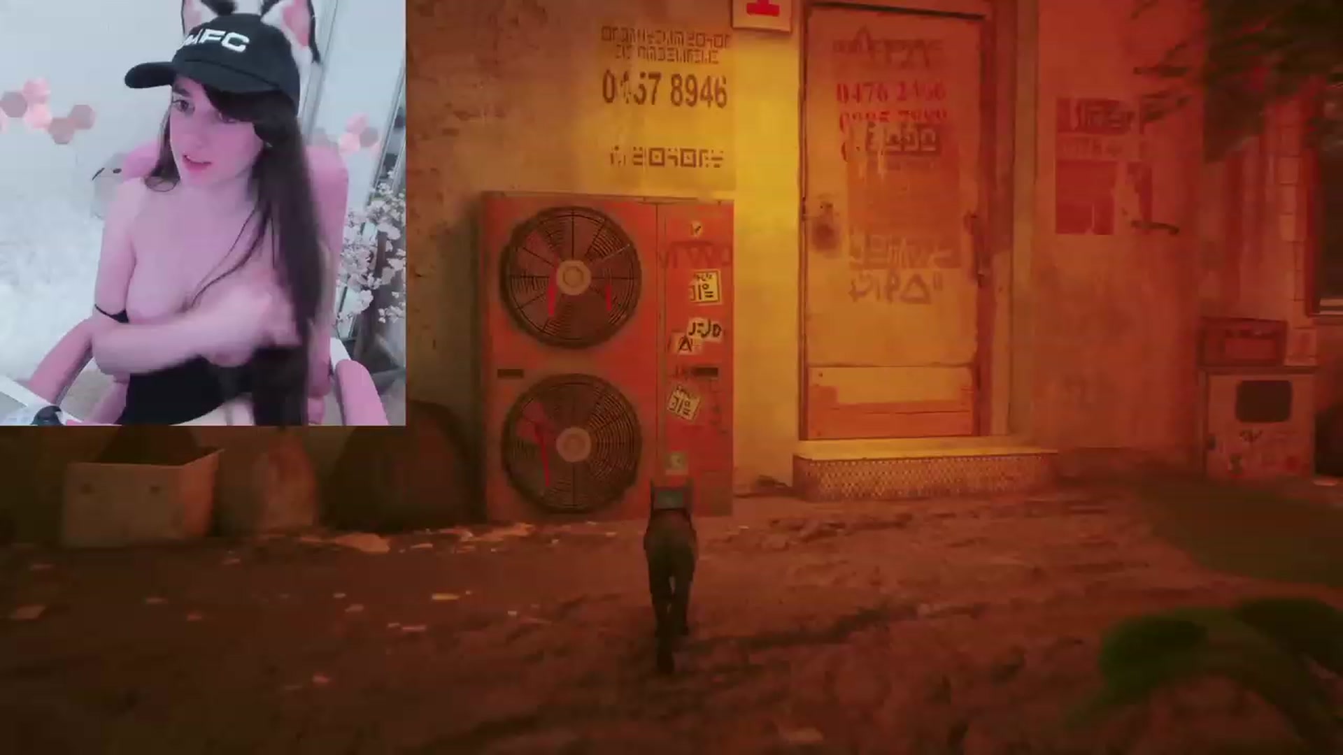 Kitty video thumbnail