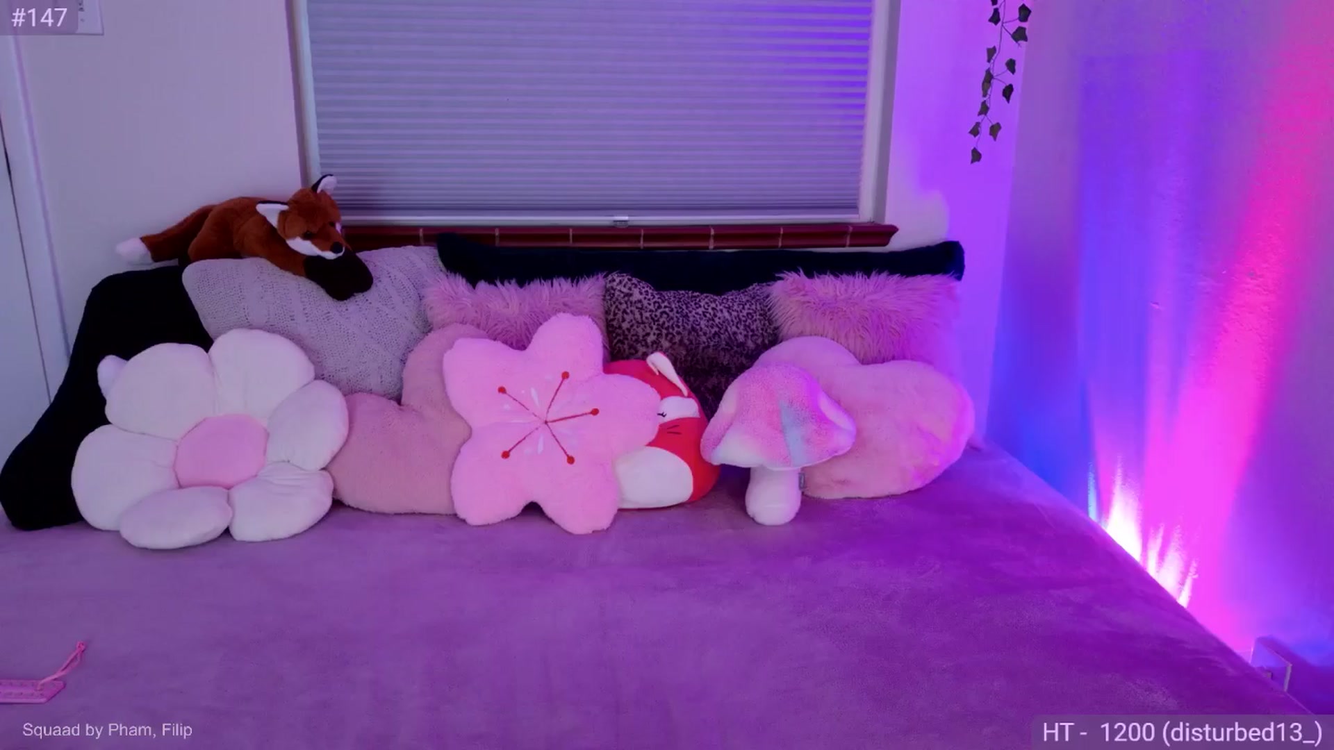 Fiona video thumbnail