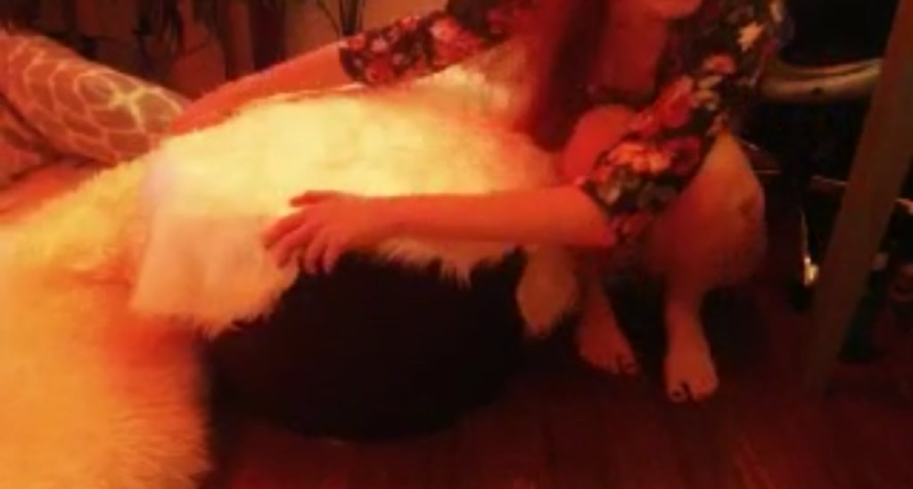 Troublesome video thumbnail