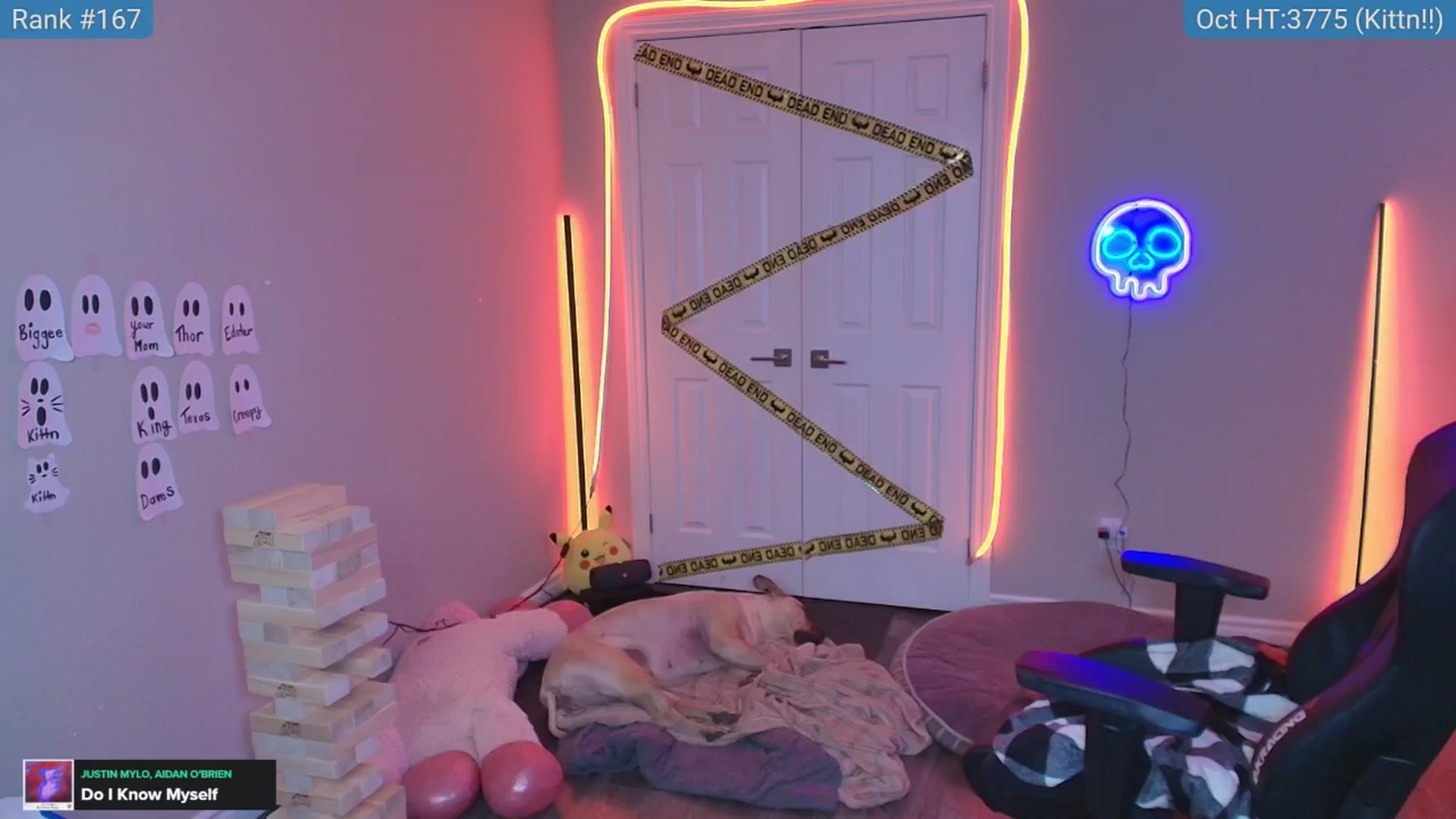 HaileeCameron video thumbnail