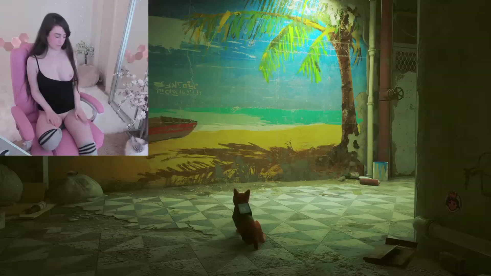 Kitty video thumbnail
