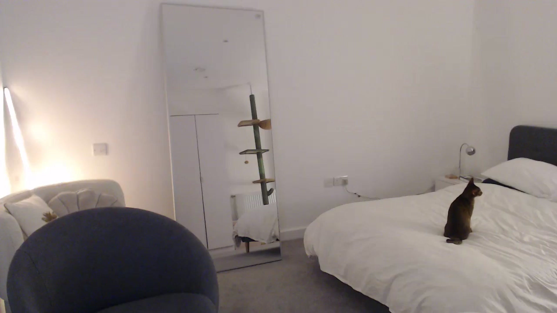 anacardi video thumbnail