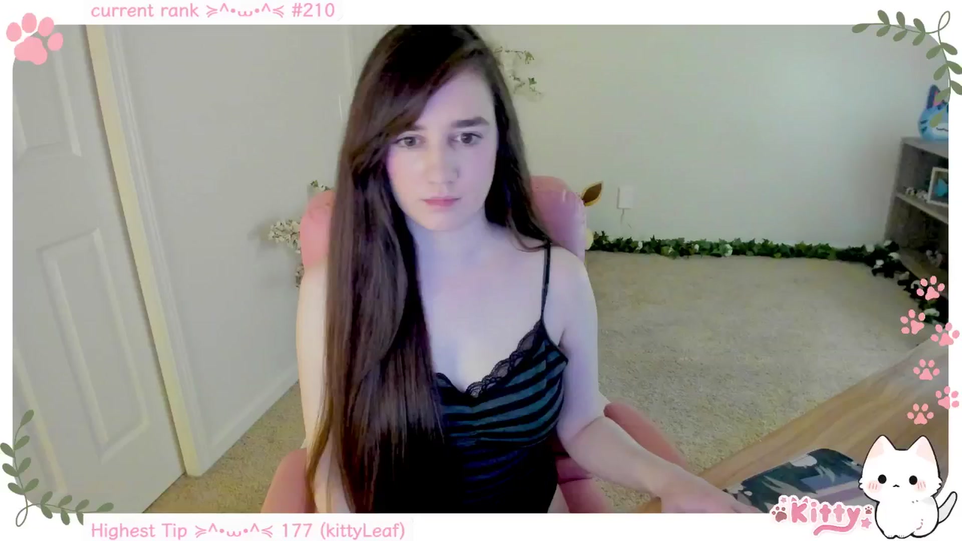 Kitty video thumbnail