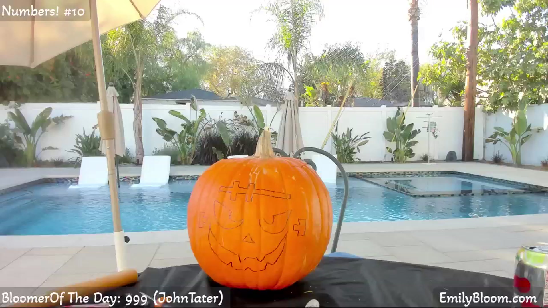 EmilyBloom video thumbnail